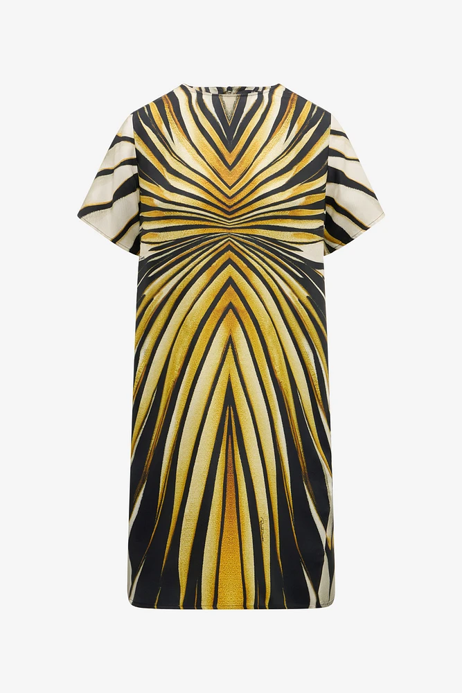 Ray Of Gold Print Silk Mini Dress