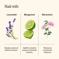 Aroma Halo & Unwind