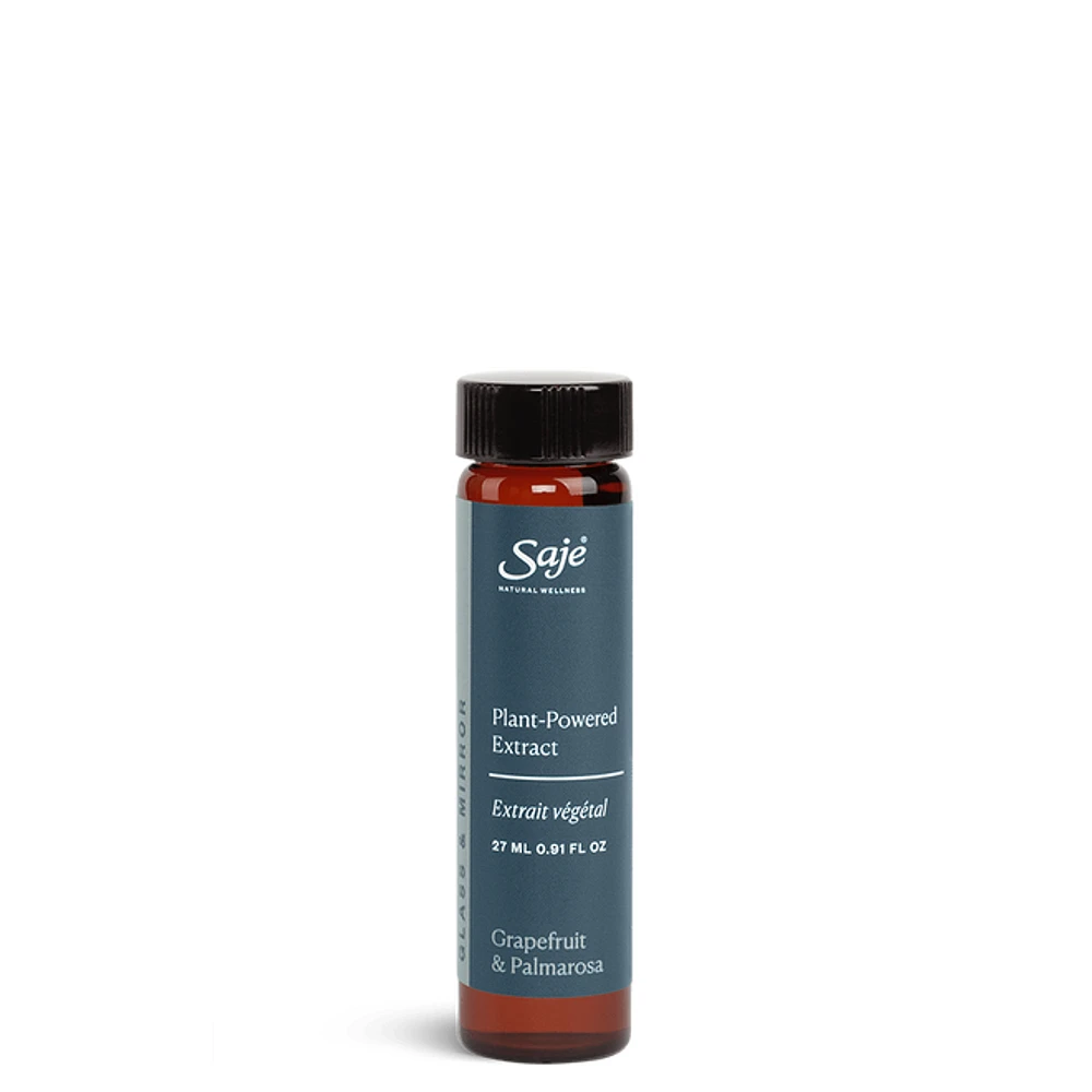 Glass and Mirror Cleaning Refill