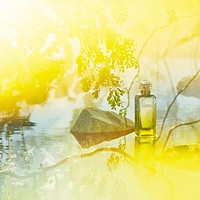 Le Jardin de Monsieur Li Eau Toilette