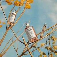 REPLICA' Autumn Vibes Eau de Toilette with Cedarwood & Cardamom