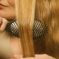 The Dual-Bristle Boar Hair Brush No. 001 for All Hair Textures		