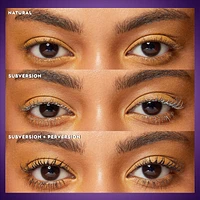 Subversion Lash Primer
