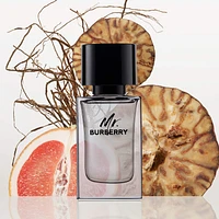 Mr. Burberry Eau de Toilette with Grapefruit and Vetiver
