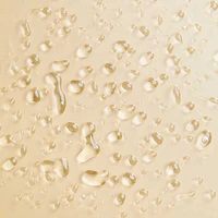 Hydrating Hair Mist