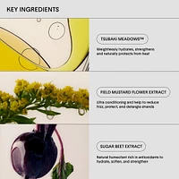 La crème revitalisante sans rinçage pour des cheveux hydratés