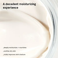 Priming Moisturizer Rich Face Cream with Ceramides