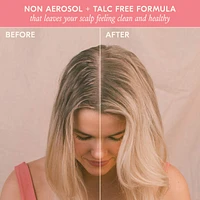 Fairy Duster Volumizing Dry Shampoo Powder