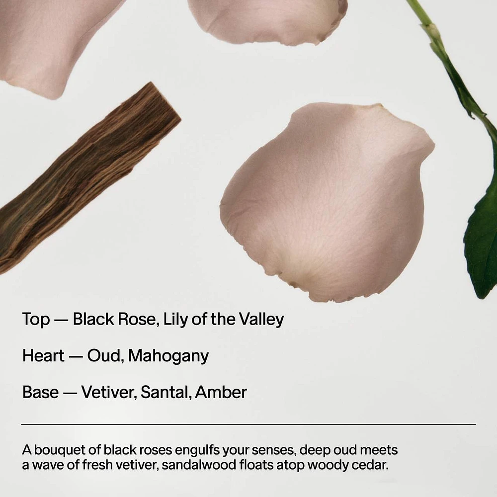 Black Rose & Oud Refillable Body Wash with Niacinamide + Probiotic