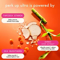 Perk Up Ultra Oil Control Dry Shampoo