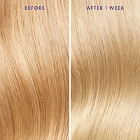 Mini Moroccanoil Treatment Purple Hair Oil for Blonde Hair