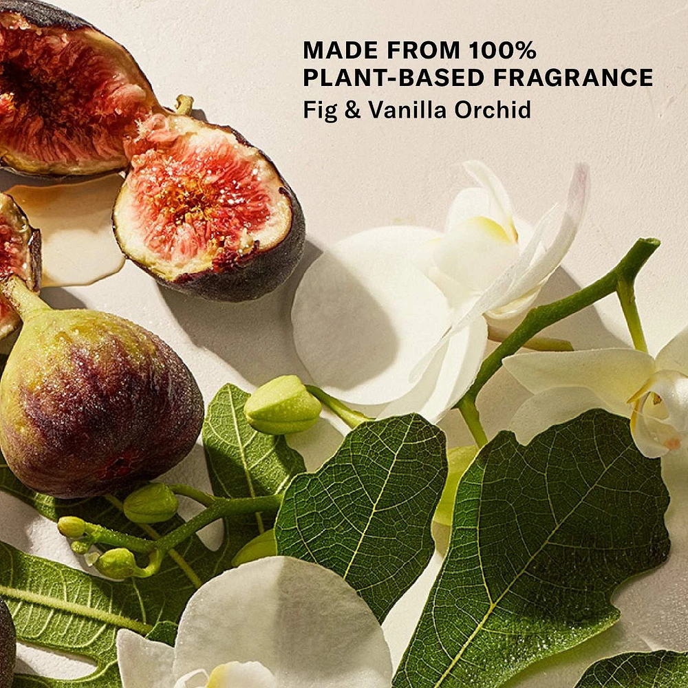Mini Bohemian Fig - Whipped Argan Oil Refillable Firming Body Butter
