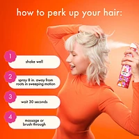Perk Up Ultra Oil Control Dry Shampoo