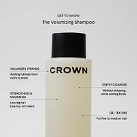 The Volumizing Shampoo for Oily, Flat Hair