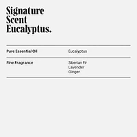 Eucalyptus Body Essentials Set - Trial + Travel