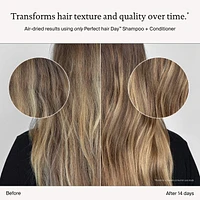 Mini Perfect hair Day (PhD)  Shampoo, Conditioner & Dry Shampoo Set