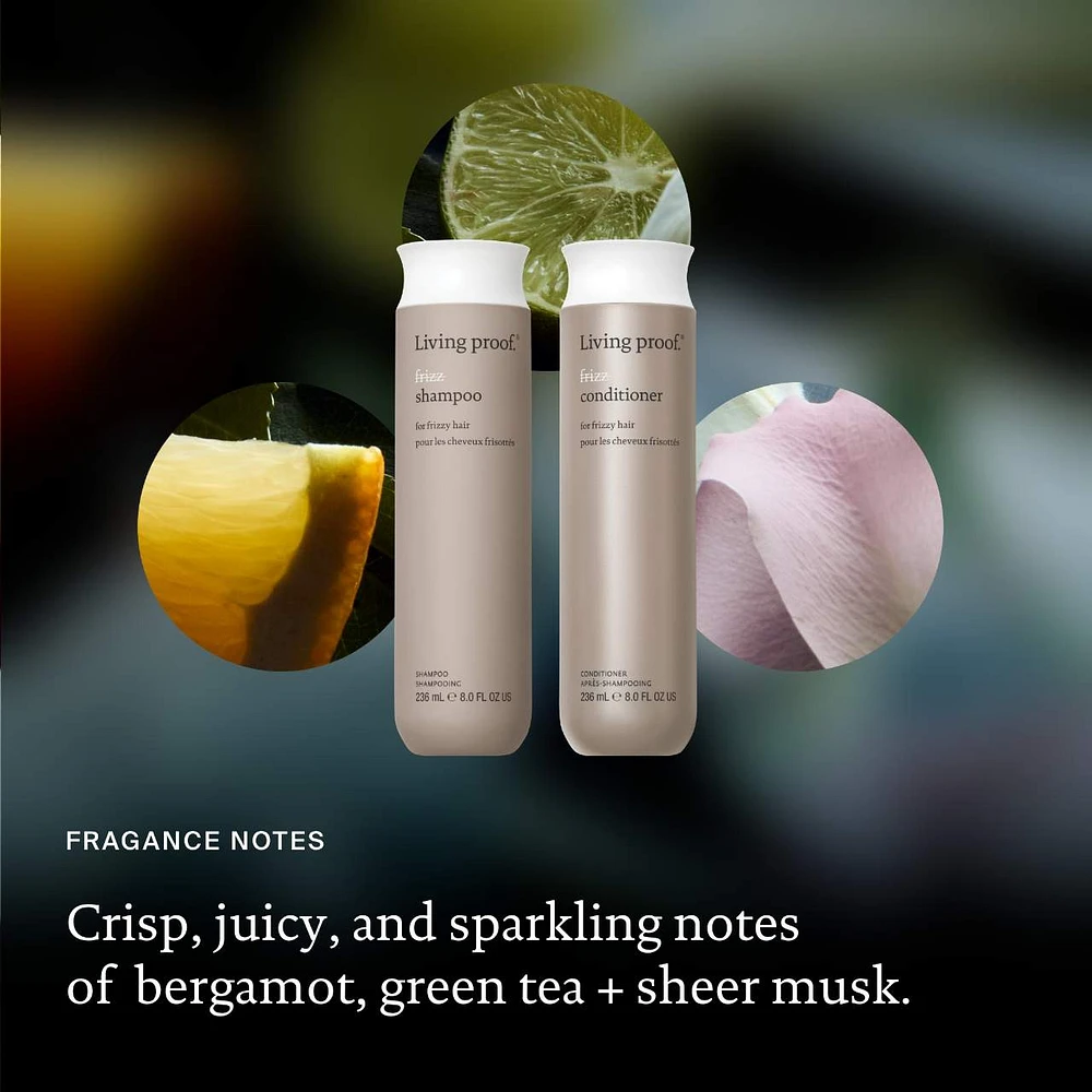 No Frizz Smoothing Shampoo