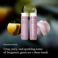 Restore Repairing Shampoo
