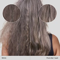 No Frizz Smoothing Conditioner