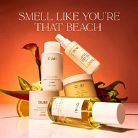 St. Barts Detangling and Frizz Fighting Leave in Conditioner