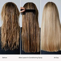 Leave-In Conditioner & Detangler Spray