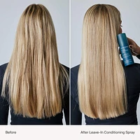 Leave-In Conditioner & Detangler Spray