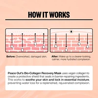 Overnight Barrier Hydrating Bio-Collagen Recovery Mask