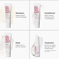 Don't Despair, Repair! Strengthening + Hydrating Minis Kit for Dry, Damaged Hair