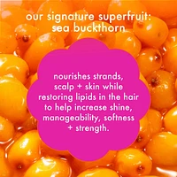 Forget Frizz Anti-Frizz Conditioner