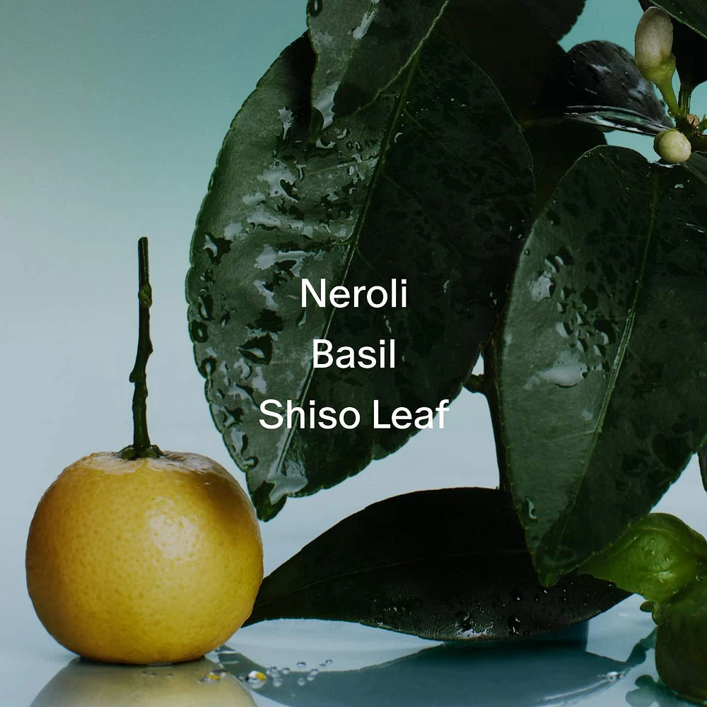 Neroli & Basil Hydrating Body Lotion with Niacinamide