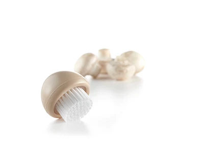 Brosse à champignon