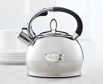 thinkkitchen Levi Whistling Kettle, 3 L