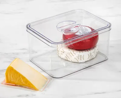 thinkkitchen Frigo Fridge Storage with Lid, Medium
