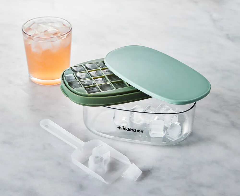 Moule à glaçons avec réceptacle Novelty thinkkitchen
