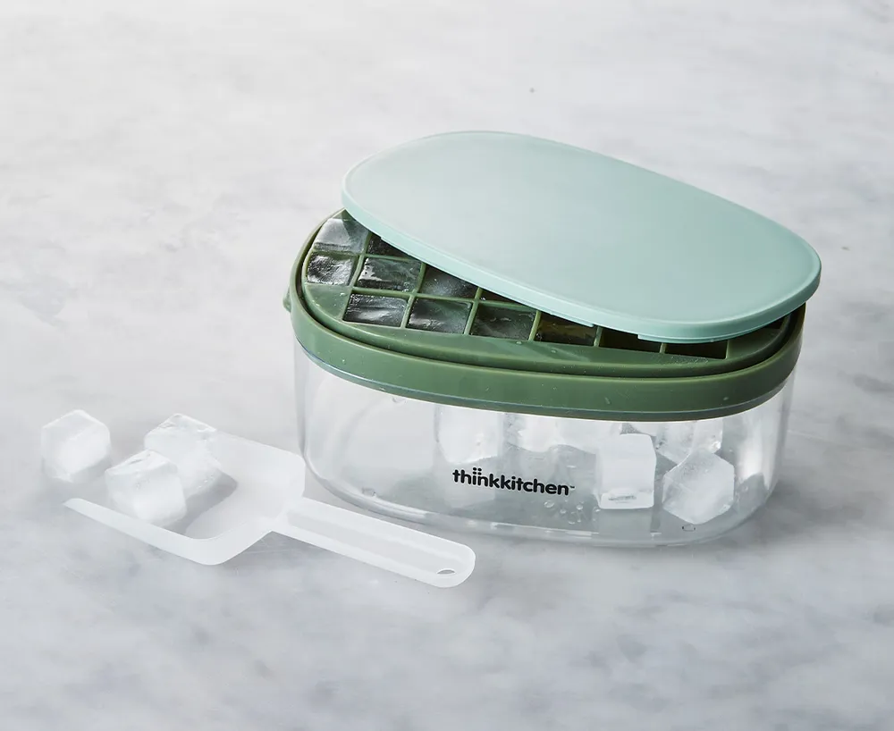 Moule à glaçons avec réceptacle Novelty thinkkitchen