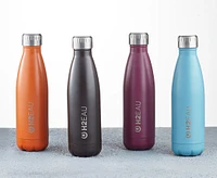 Thermo Water Bottle, 17 oz, Raspberry