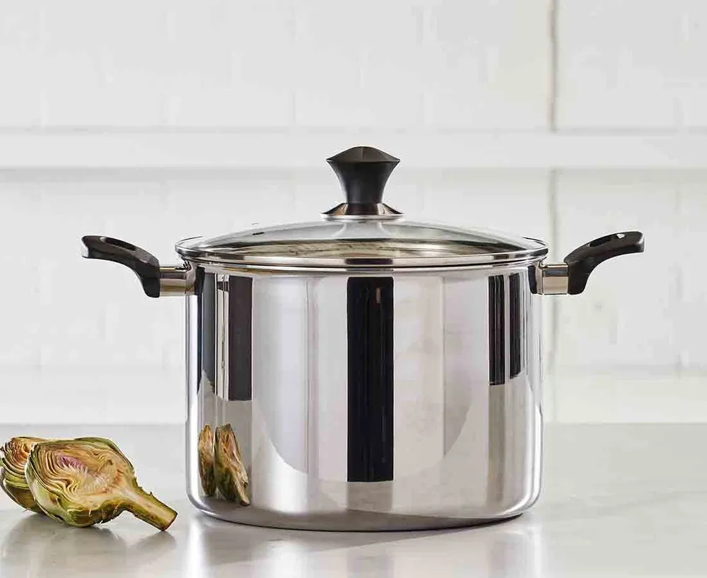 Marmite Total Clad par Remy Olivier, 10 L