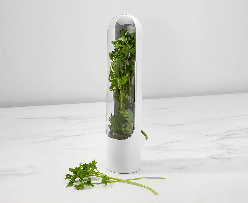 Contenant Herb Saver Pod Prepara, blanc et vert