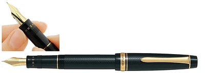 Pilot Fountain pen