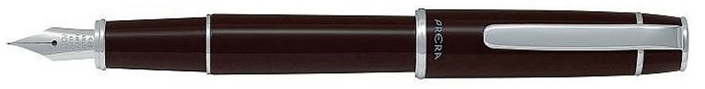 Pilot Fountain pen