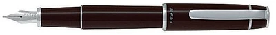 Pilot Fountain pen
