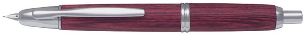 Pilot Fountain pen