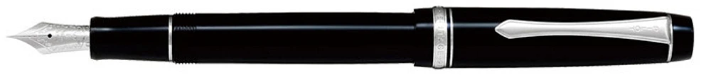 Pilot Fountain pen