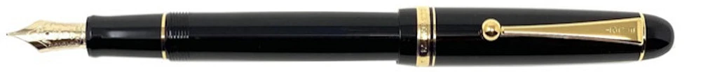 Pilot Fountain pen