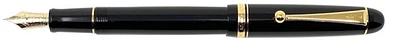 Pilot Fountain pen
