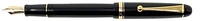 Pilot Fountain pen