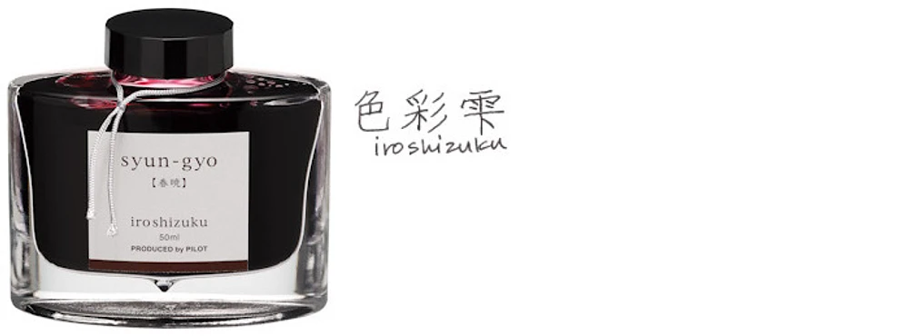 Pilot Ink bottle