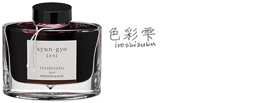Pilot Ink bottle