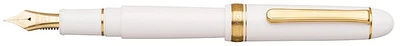 Stylo plume Platinum