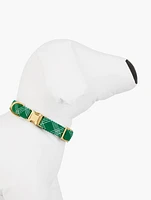 The Foggy Dog Emerald Plaid Collar